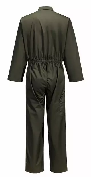 Perushaalari C 802 - Umpihaalarit - C802 - 2